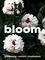 Cover image for Bloom: Issue 10